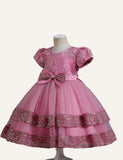 Girls' Dress Dress Embroidered Sequins Bow Short Sleeve Umbrella Princess Dress