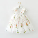 Butterfly Wings Mesh Dress