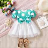 Cute Princess Mesh Dress