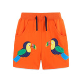 Boy Affixed Cloth Embroidered Floral Shorts