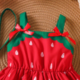 Bow Watermelon Printing Slip Dress + Bag