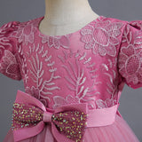 Girls' Dress Dress Embroidered Sequins Bow Short Sleeve Umbrella Princess Dress