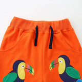 Boy Affixed Cloth Embroidered Floral Shorts