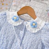 Cute Three-Dimensional Embroidery Dress