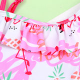 Flamingo Swimsuit