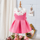 Lace Sleeveless Butterfly Dress