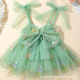 Lace Bow Flower Embroidery Dress