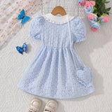 Cute Three-Dimensional Embroidery Dress