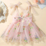 Lace Bow Flower Embroidery Dress