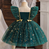 Christmas Girl Mesh Princess Dress