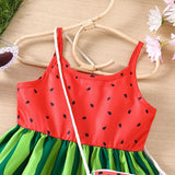 Watermelon Printing Splicing Dress