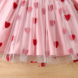 Valentine's Day Love Embroidered Mesh Dress