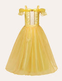 Mesh Sleeveless Party Dress