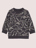 Printed Dinosaur Sweatshirt