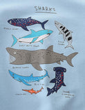 Shark Print Sweater - CCMOM